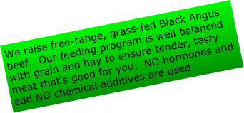 We raise free-range, grass-fed Black Angus beef.  Our feeding program is well balanced with grain and hay to ensure tender, tasty meat that's good for you.  NO hormones and add NO chemical additives are used. 