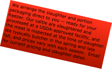  We arrange the slaughter and portion packaging direct to you -- ready for your freezer. Our cattle are slaughtered and processed at a USDA-approved facility, and the meat is inspected at the time of slaughter.  We typically butcher in the spring and late fall, and prices vary with each season.  Email for current pricing and slaughter dates.
